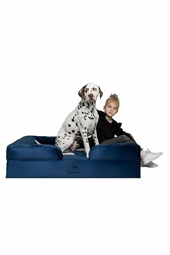 NOAH & PAW XL Orthopedic Dog Bed w/ Cooling Gel Memory Foam (Blue or Green)